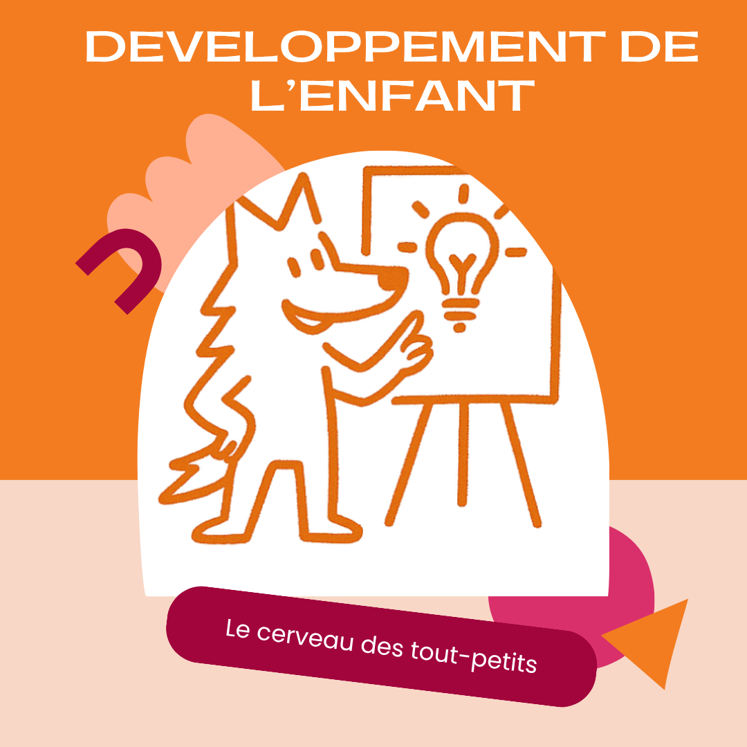 Lire la suite à propos de l’article Le cerveau des tout-petits : comprendre pour mieux accompagner
